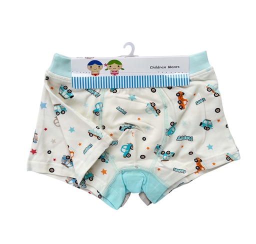 [06/23/BB/2437] Assorted Boy's Boxers