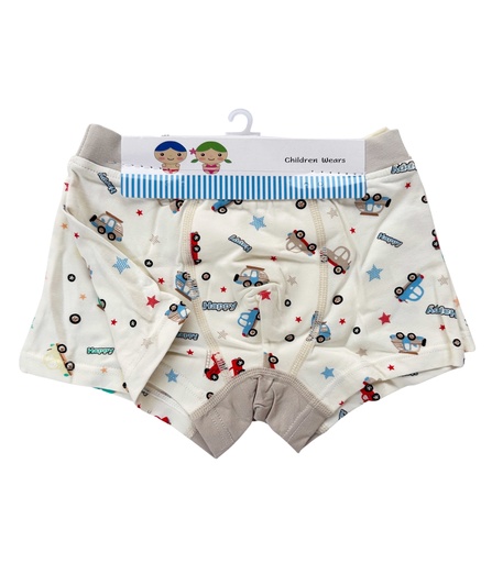 [06/23/BB/2441] Assorted Boy's Boxers
